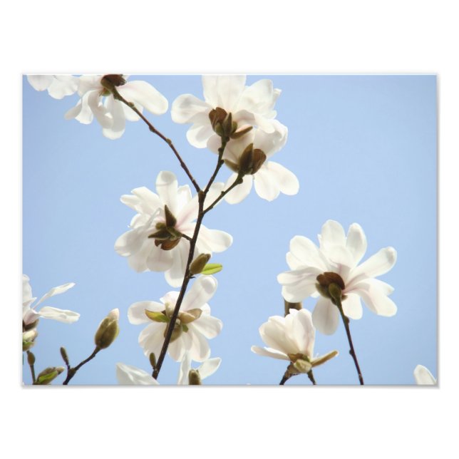 Fotografía Impresiones de arte floral Flores de Ma (Frente)