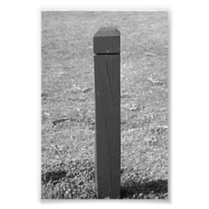 Fotografía L3 4x6 blanco y negro de la letra del