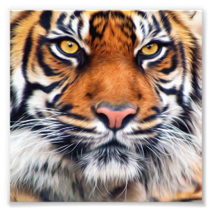 Fotografía masculina de la pintura del tigre