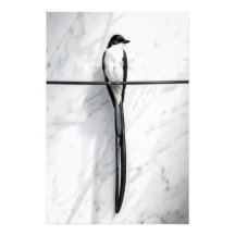 Fotografía minimalista de pájaro en alambre