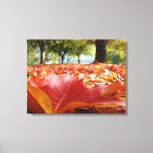 Fotografía naturaleza Arte de pared Decoración Hoj