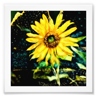 Fotografía original del girasol cósmico de slrusse