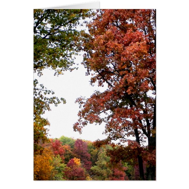 Fotografía paisajística de otoño (Frente)