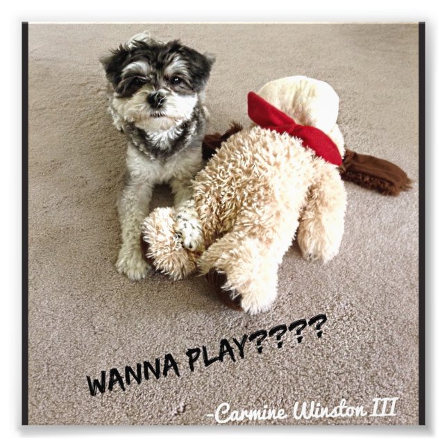 Fotografía personalizada del carmín 6x6 (Frente)