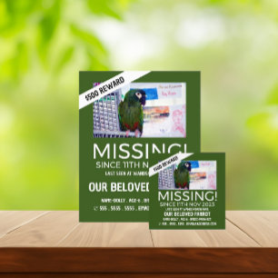 Fotografía personalizada, tarjetas Mascotas perdid