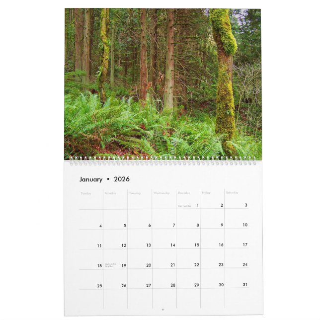 Fotografía por el calendario de Chris 2011 (Jan 2026)