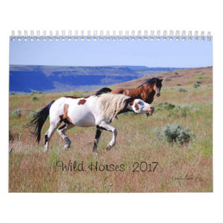 Fotografía por el calendario del caballo salvaje