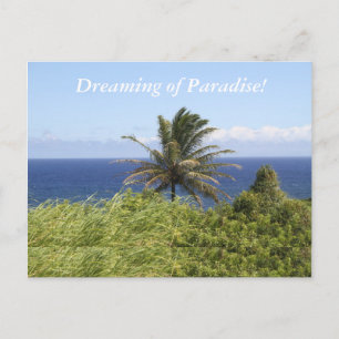 Fotografía postal de la bella escena tropical