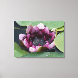 Fotografía Purple Lotus de impresión única