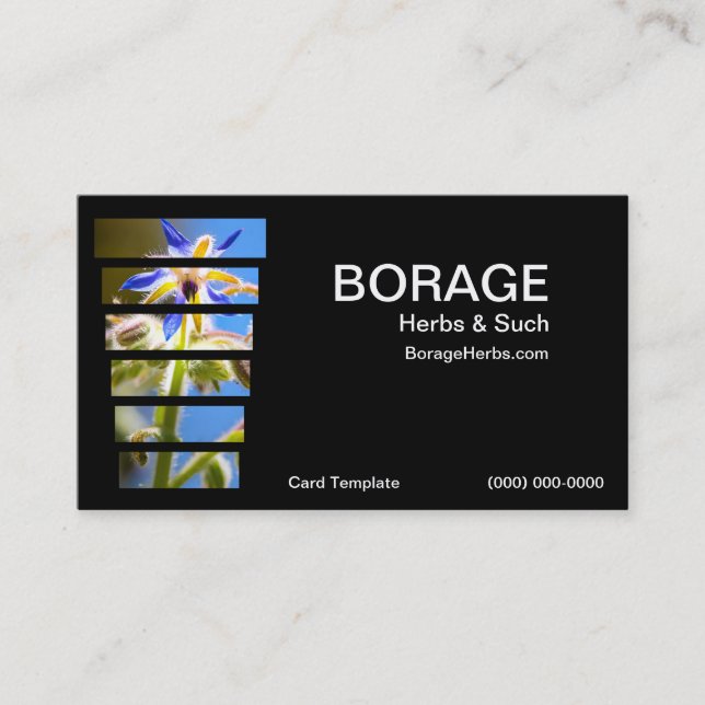 Fotografía Tarjetas de visita de hierba de Borage (Anverso)