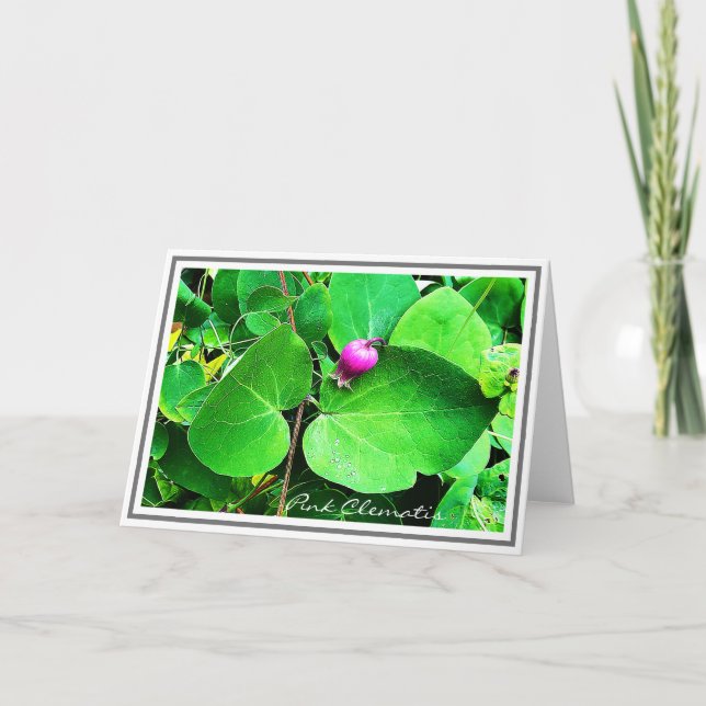 Fotografía Vibrante De Clematis Rosa Y Tarjeta De  (Anverso)