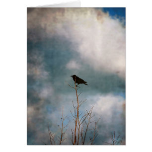 Fotografía vintage de un cuervo en un árbol