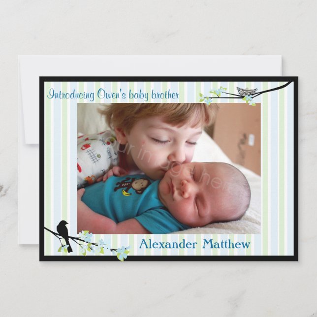 Fotografías del anuncio de nacimiento de aves y fl (Anverso)