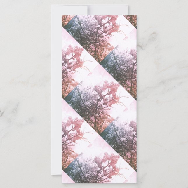 Fotógrafo en formato cuadrado (Anverso)