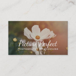 Fotógrafo, fotografía, tarjeta de visita