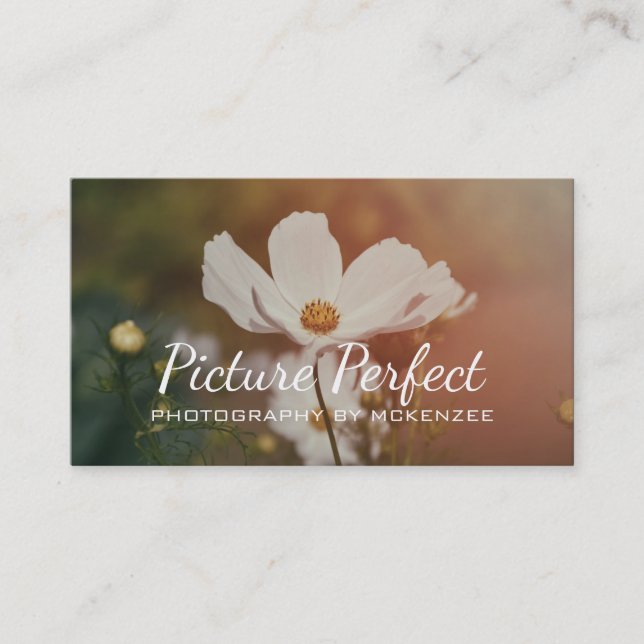 Fotógrafo, fotografía, tarjeta de visita (Anverso)