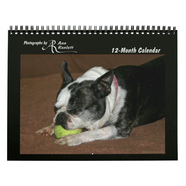 Fotos de animales - Calendario de 12 meses (Tapa)
