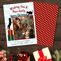 Fotos de gatos juguetones de navidad pura