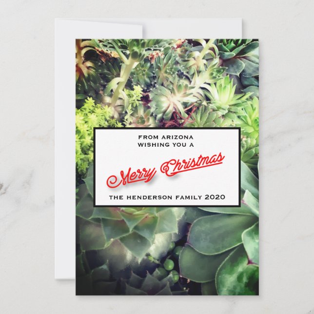 Fotos de la familia Cactus de Feliz Navidad Arizon (Anverso)