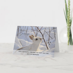 Fotos de Navidad personalizadas en invierno de con