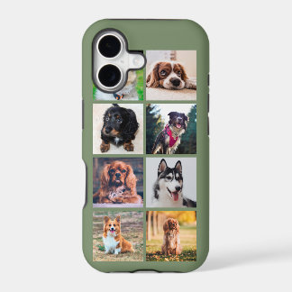 Fotos de Perritos en Instagram