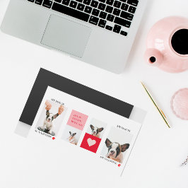 Fotos de perros de colección | Mi Perro Es Mi Vale