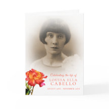 Fotos de rosas rayadas del programa de servicio fu