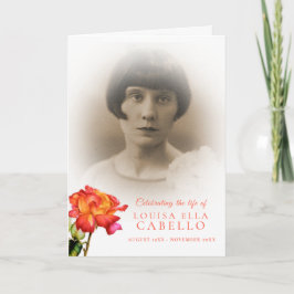 Fotos de rosas rayadas del programa de servicio fu