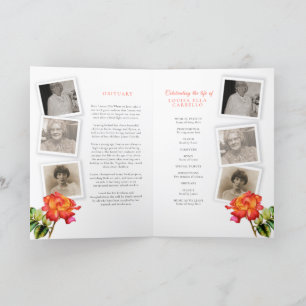 Fotos de rosas rayadas del programa de servicio fu