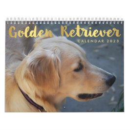 Fotos del Calendario 2023 de Golden Retriever