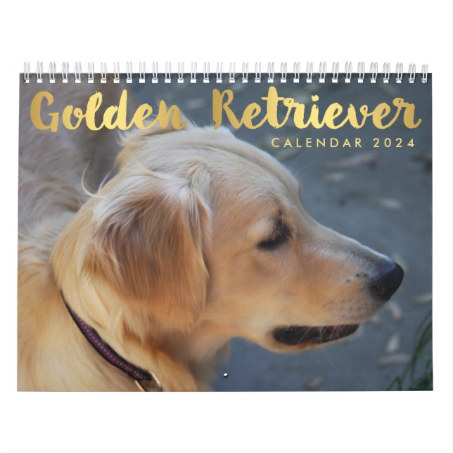 Fotos del Calendario 2024 de Golden Retriever (Tapa)