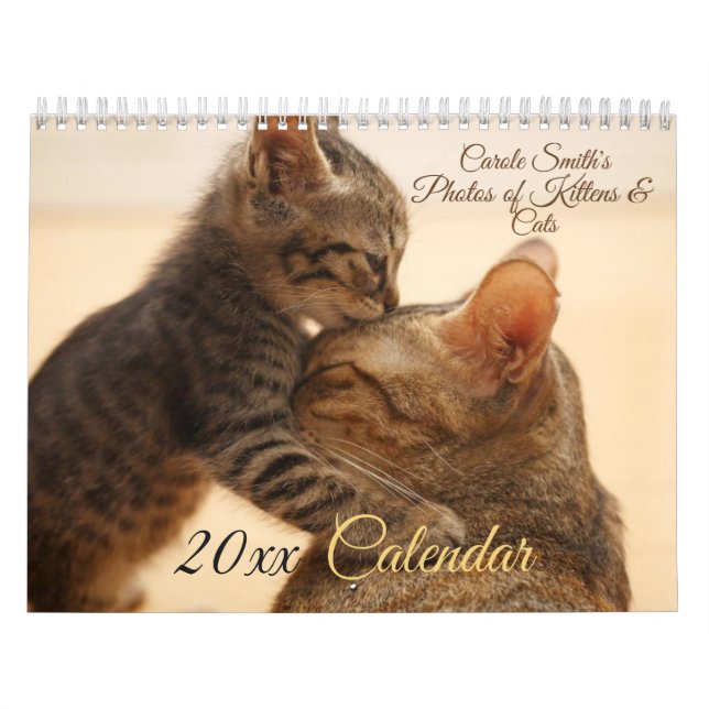 Fotos del calendario de gatos y gatitos 20XX (Tapa)