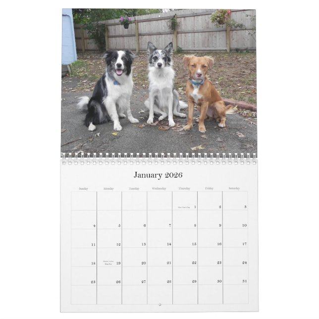 Fotos del calendario de la granja divertida 2012 (Jan 2026)