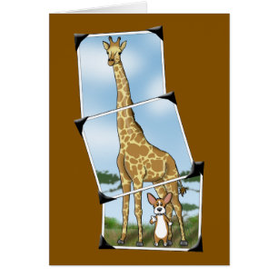 Fotos del Corgi y de la jirafa