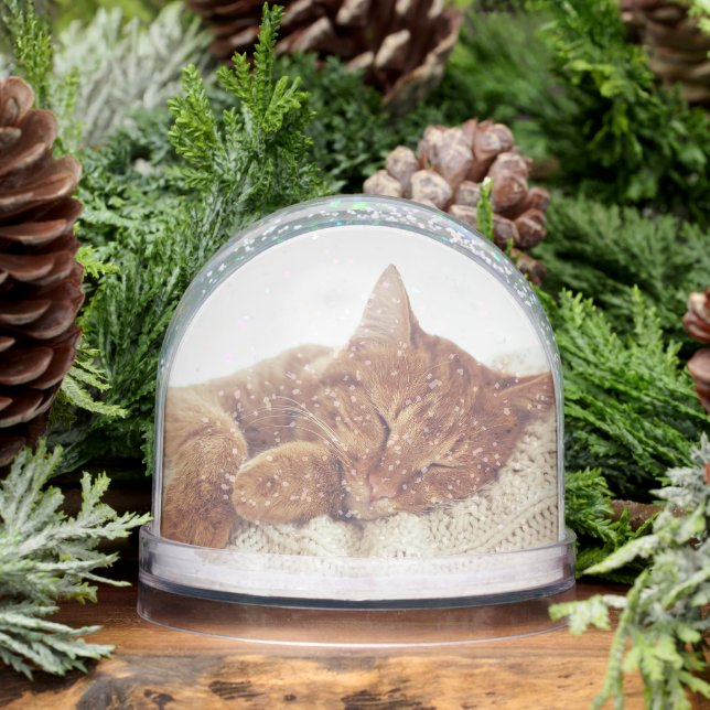 Fotos personalizadas de gato Keepsake Snow Globe (Invierno)