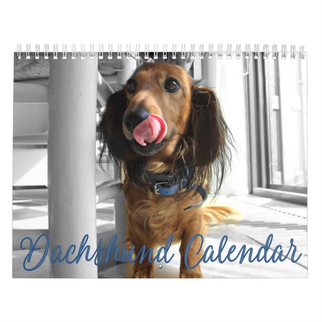 Fotos personalizadas del Calendario Dachshund 2023 (Tapa)