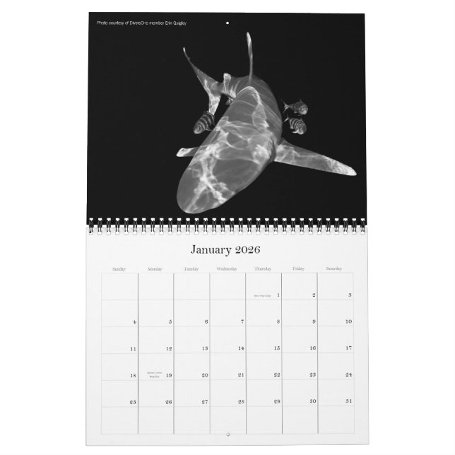Fotos Submarinas Del Calendario Mejor De DiversOne (Jan 2026)