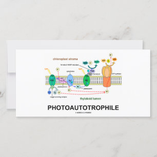 Fotosíntesis fotofotonófila