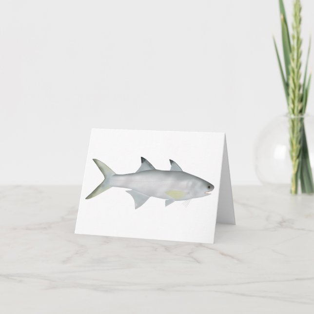 Fourfinger Threadfin (Anverso)