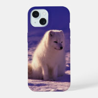 Fox ártica