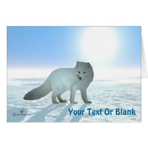 Fox ártica
