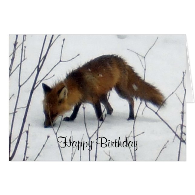 Fox de Cumpleaños en Tarjeta de Nieve (Anverso (Horizontal))