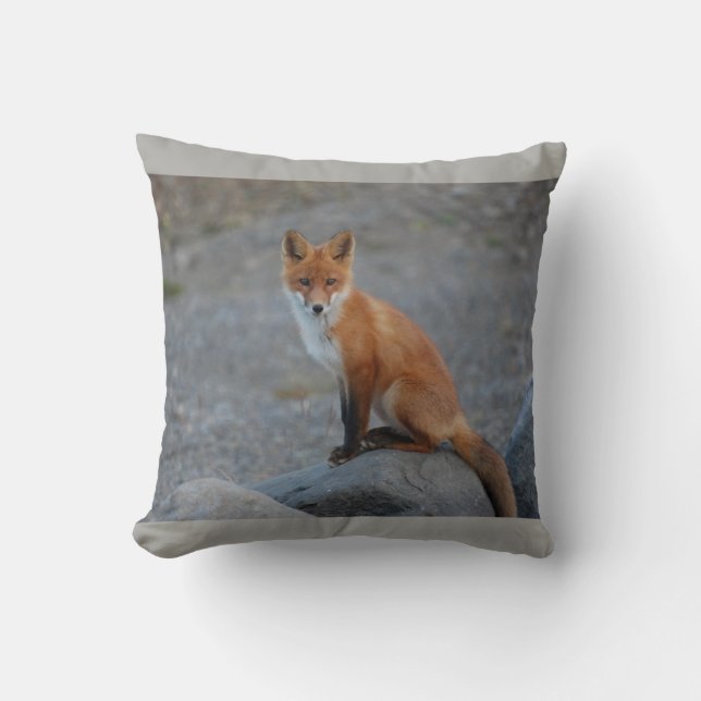 fox el amortiguador, almohada de tiro del zorro, (Anverso)