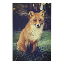 Fox en impresión de lienzo forestal