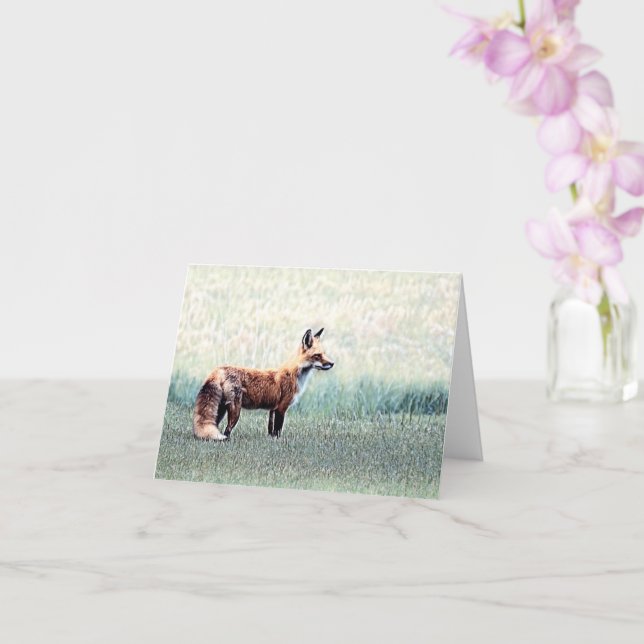 Fox en la tarjeta de felicitación en blanco (Orquídea)