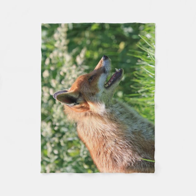 fox la manta, tiro astuto, manta del tiro del (Anverso)