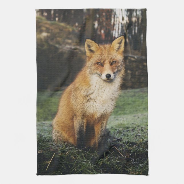 fox la toalla de cocina, toalla de té astuta, (Vertical)