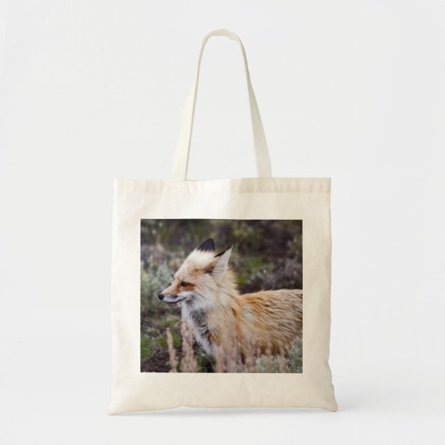 Fox roja - Bolsa (Frente)