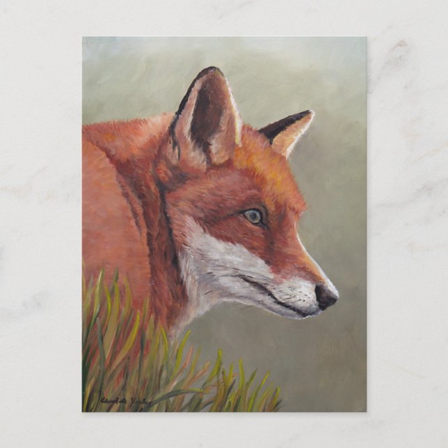 Fox roja en la postal de arte de los animales de h (Anverso)