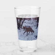 Fox roja en nieve